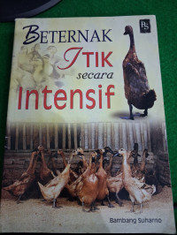 Image of Beternak Itik Secara Intensif