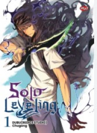 Image of Solo Leveling