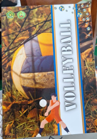 Image of Volleyball